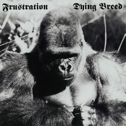 FRUSTRATION_DYING+BREED+-+WHITE+VINYL-586391